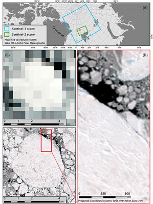 Application of Sentinel-2 MSI in Arctic Research: Evaluating the Performance of Atmospheric Correction Approaches Over Arctic Sea Ice